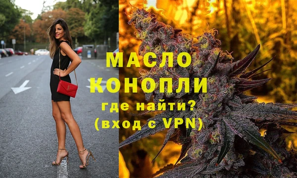 гидра Кодинск