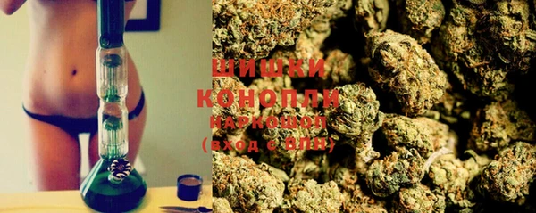 прущий лед Козельск