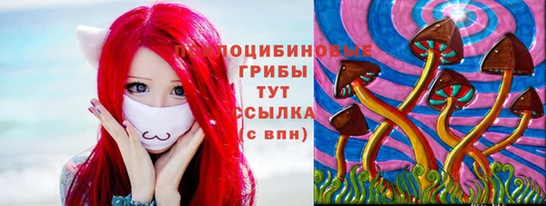 прущая мука Шали