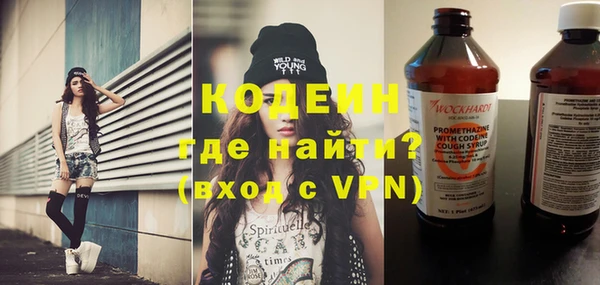 гидра Кодинск