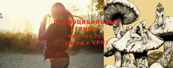 бошки Чегем